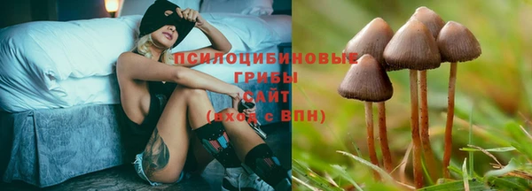 мескалин Нефтекумск