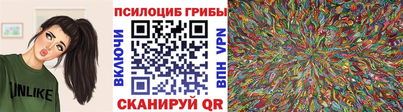 Галлюциногенные грибы мухоморы  omg как войти  Светлогорск  купить наркоту 